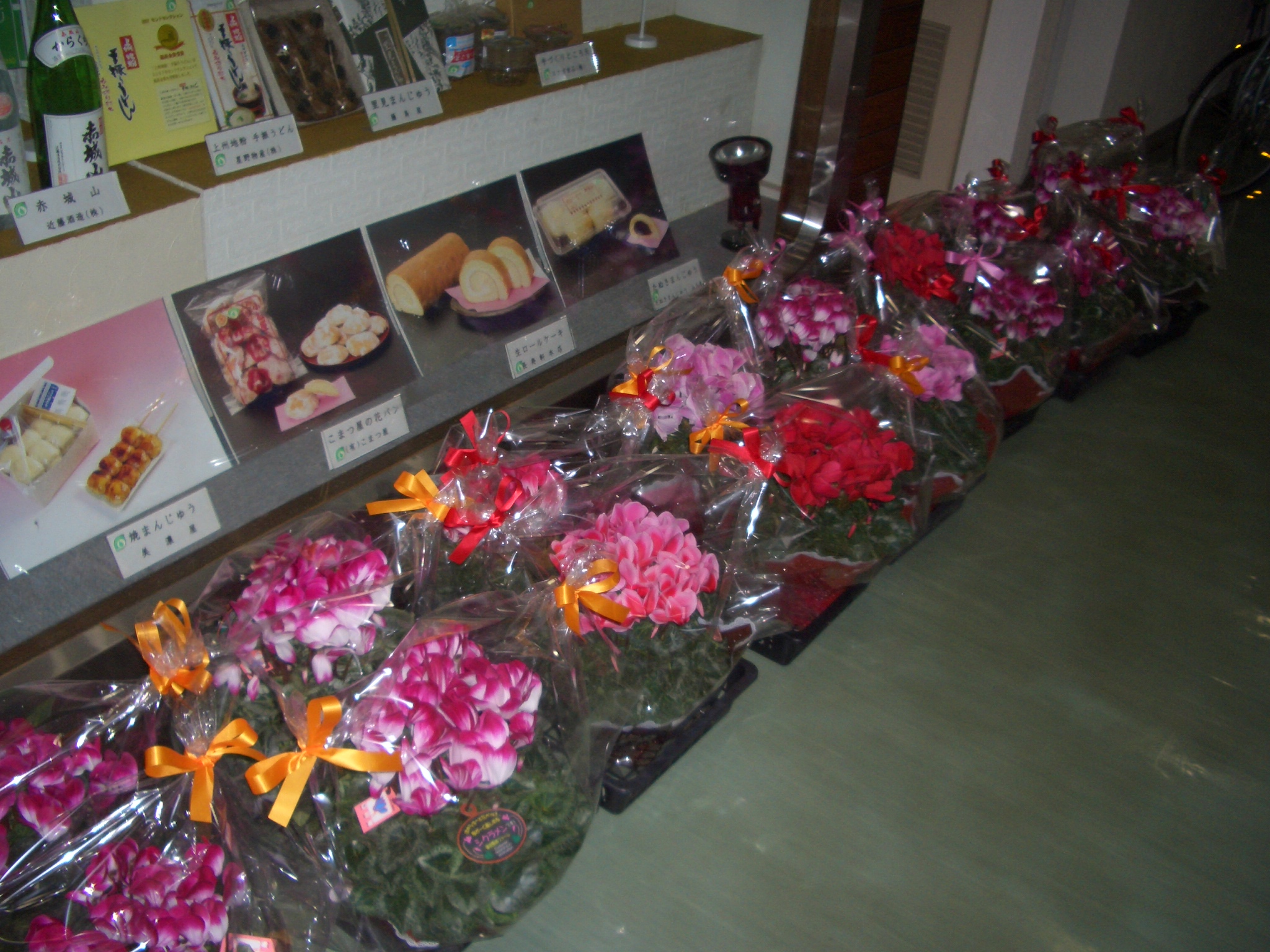 宝くじ　シクラメン交換に寄せて