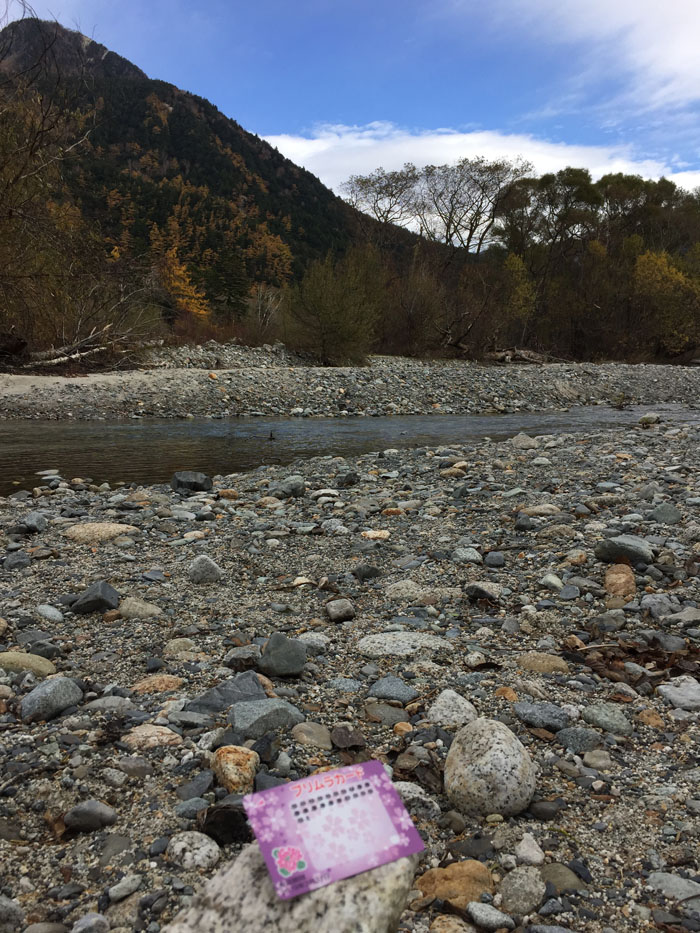 上高地 in プリムラカード　【００１】