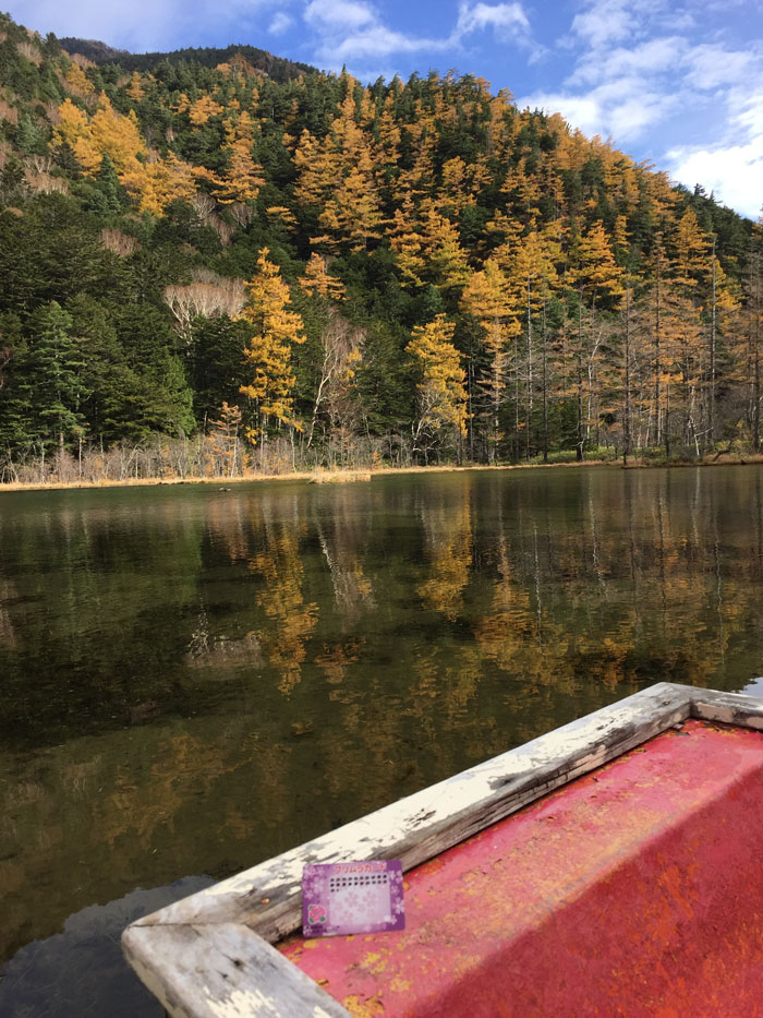 上高地 in プリムラカード　【００２】