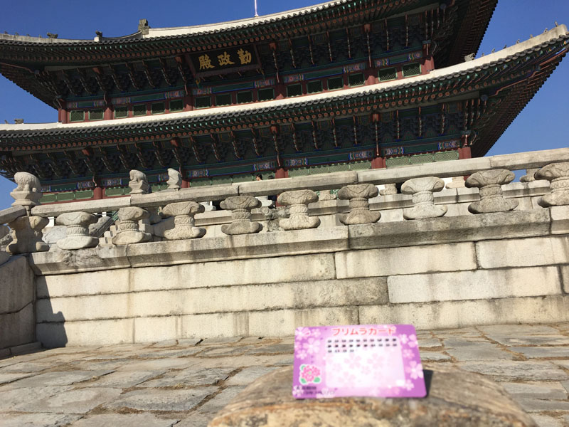 ソウル in プリムラカード