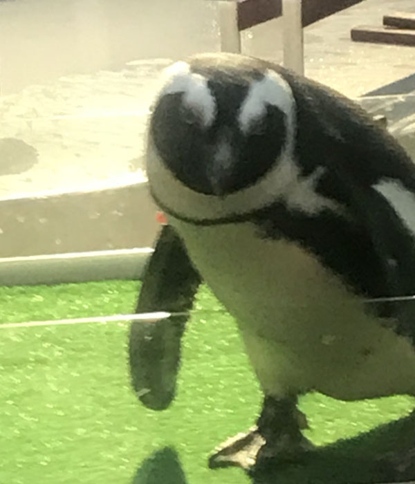 いい人生を手にするＷＥＥＫ